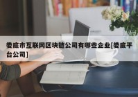 娄底市互联网区块链公司有哪些企业[娄底平台公司]